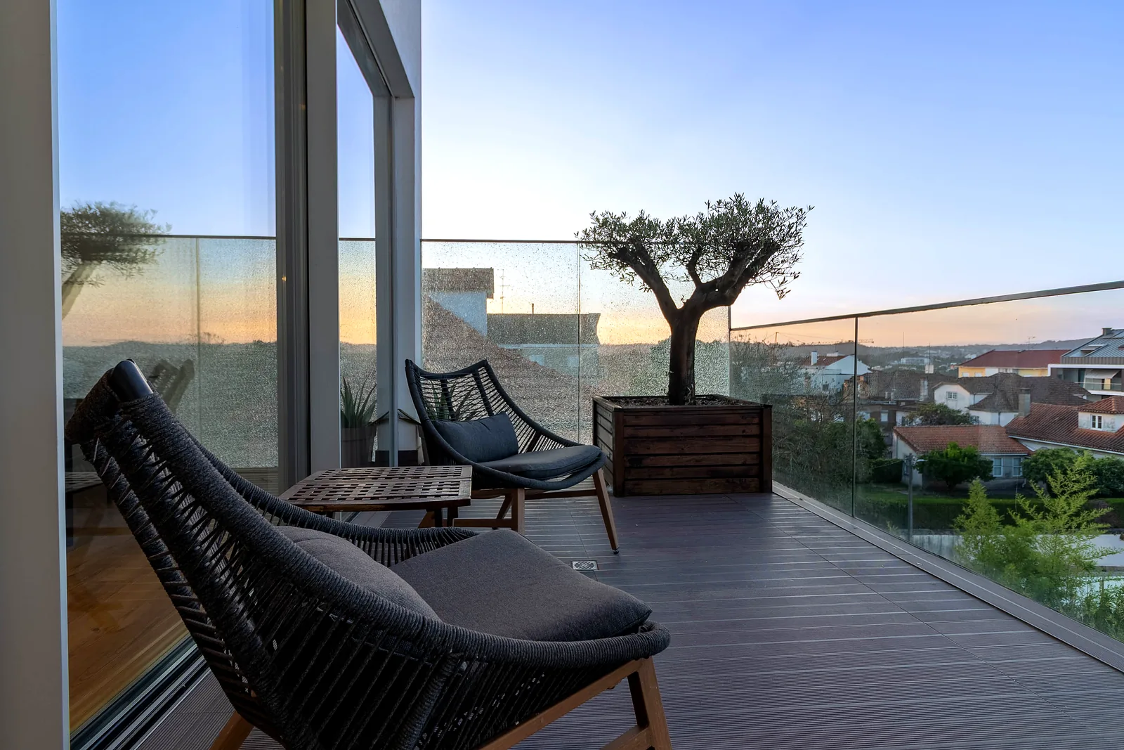 Olivier sur la terrasse partagée dominant les toits de Viseu